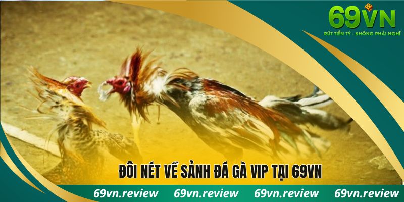 Đôi nét về sảnh đá gà VIP tại 69VN