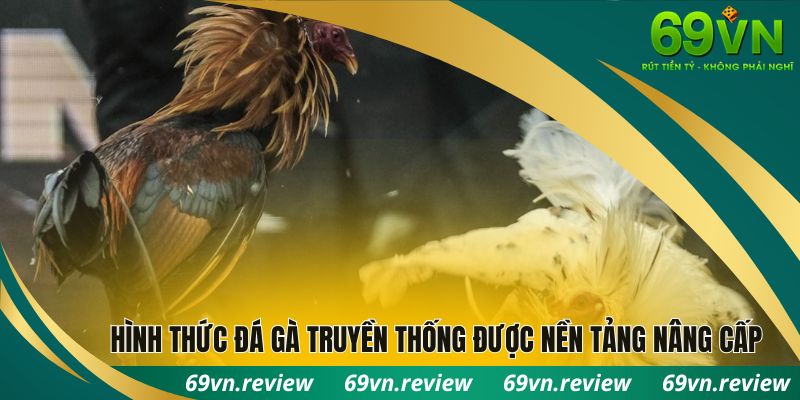Hình thức đá gà truyền thống được nền tảng nâng cấp